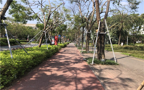 華為園區綠道